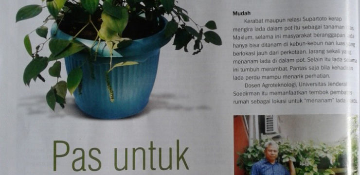 Ir. Supartoto, M.Agr.Sc., Dosen Agroteknologi Menjadi Narasumber Majalah TRUBUS Edisi September 2016