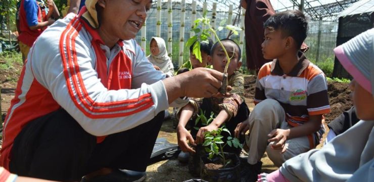 OUTING CLASS, AJAK SISWA MENANAM SAYUR DI EXFARM FAPERTA UNSOED