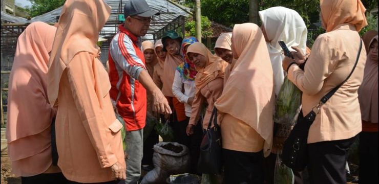 DHARMA WANITA KABUPATEN BANYUMAS BERSINERGI DENGAN FAPERTA UNSOED UNTUK MEMBUDAYAKAN  MENANAM SAYUR DI PEKARANGAN