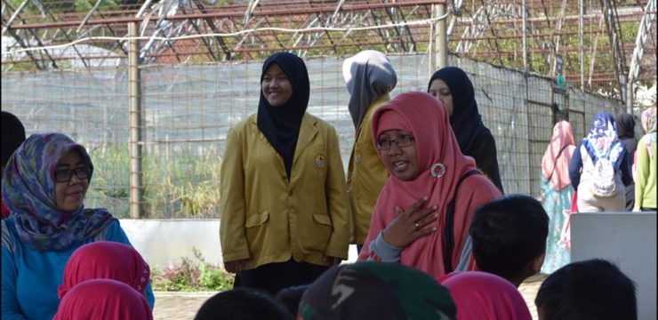 PANEN SAYUR SAMBIL BELAJAR AGRO EDUKSI DI EXFARM FAPERTA UNSOED