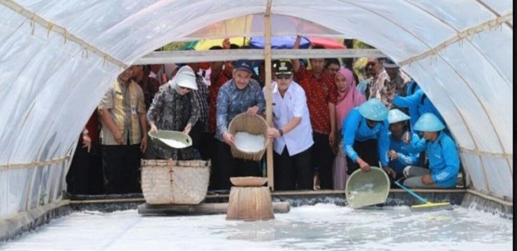 Launching Garam Kebumen, Dosen Teknik Pertanian UNSOED Siapkan Rekomendasi Hasil Riset