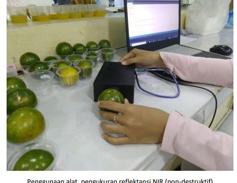 Dosen Teknik Pertanian UNSOED Kembangkan Alat Untuk Mendeteksi Kualitas Jeruk dengan Sensor dan Algoritma