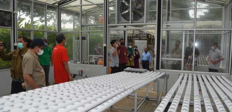 Pelatihan Automatisasi Green House untuk Meningkatkan Kapasitas Dosen dan Laboran Fakultas Pertanian Unsoed