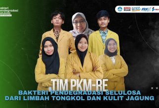 Tim PKM-Re Unsoed Memanfaatkan Potensi Bakteri Pendegradasi Selulosa Sebagai Decomposer Limbah Organik Jagung